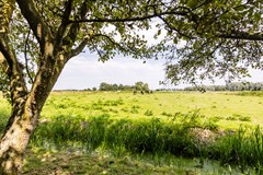 20240719, Groeneweg 36, Schiedam, Van Leerdam Makelaardij  (24 of 42).jpg